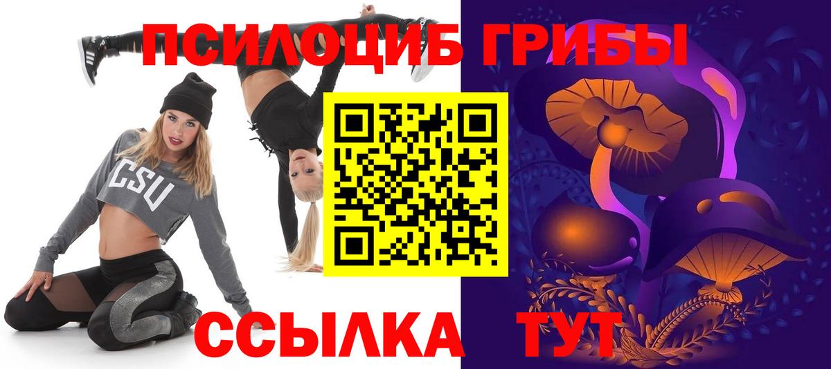 Псилоцибиновые грибы Cubensis  Галлюциногенные грибы Psilocybine cubensis  Артёмовский  Вход с VPN 